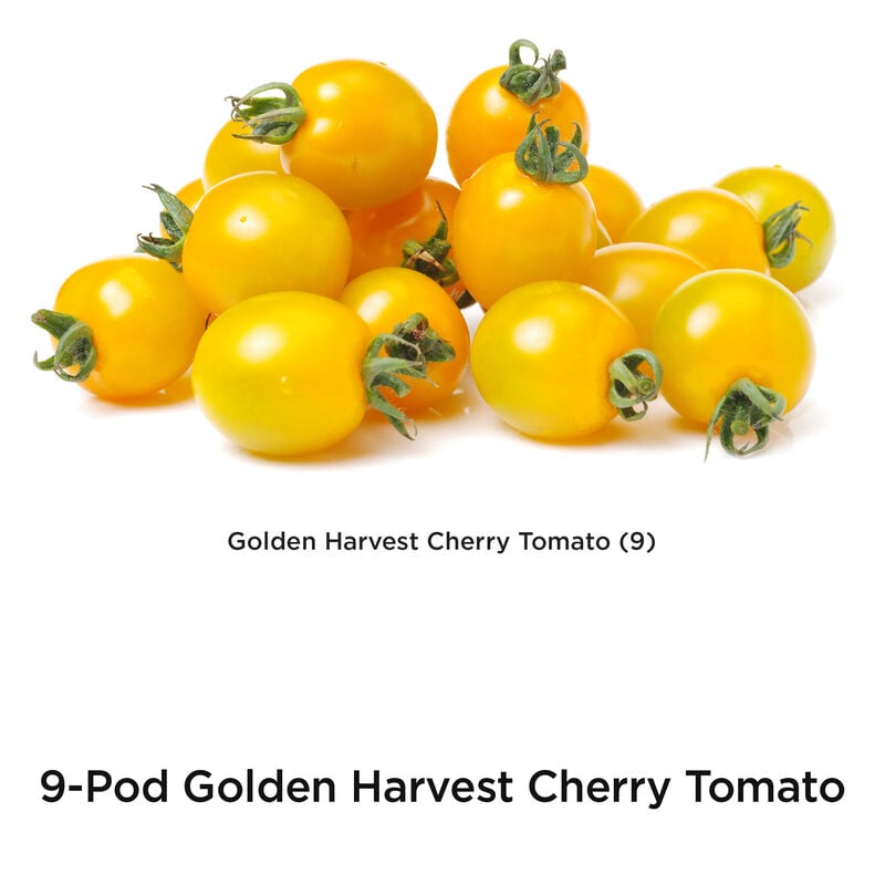 Golden Harvest Cherry Tomato Seed Pod Kit image number null